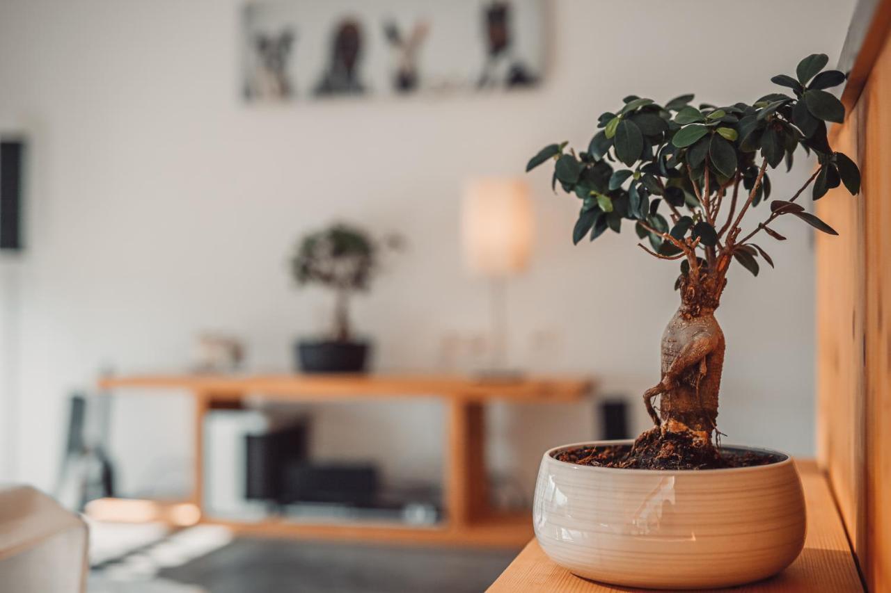 Eco Boutique Hotel Ams Beagle Блед Экстерьер фото